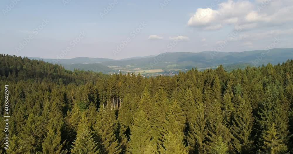 Blue Sky and Forest Drone Shot from Above. Beautiful Landscape View. Blue Sky and Forest Drone Shot from Above. Beautiful Landscape View.