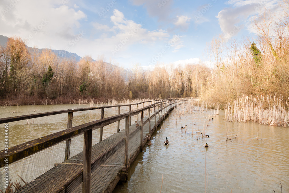 Old wood footbridge on lagoon, rural landscape Old wood footbridge on lagoon, rural landscape