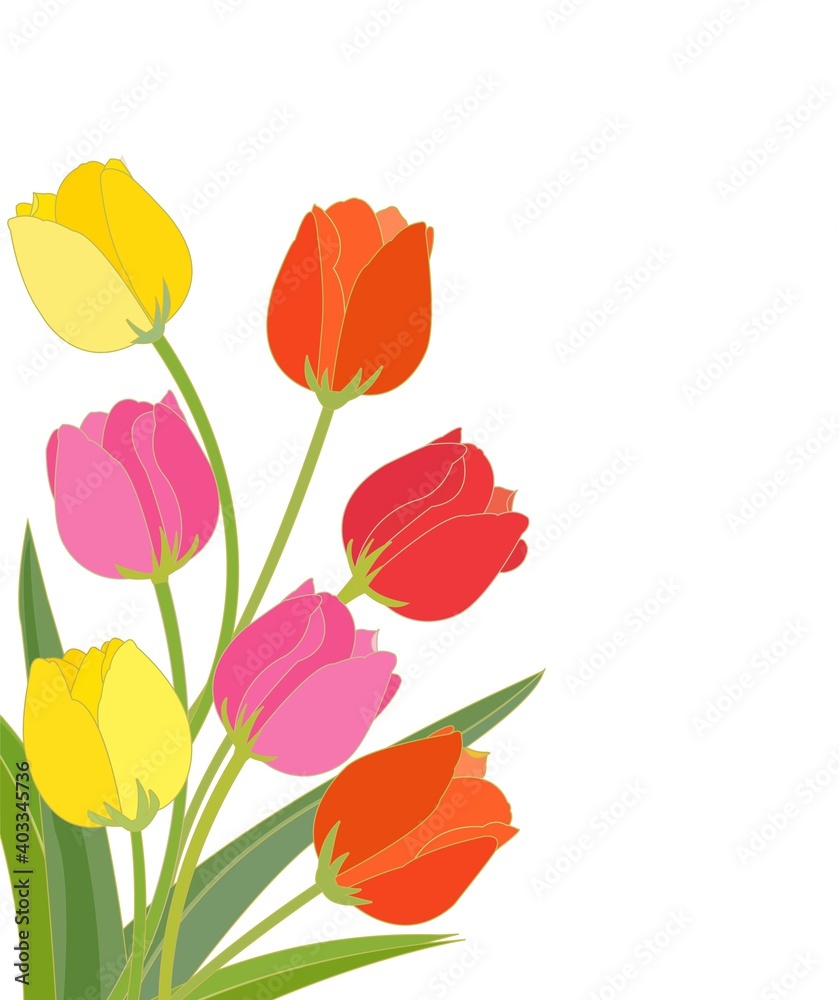 春の花 チューリップ 春の花 チューリップ
