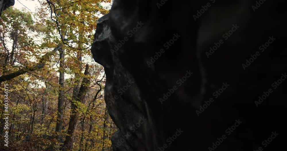 Walking by boulder revealing wooded area during autumn Walking by boulder revealing wooded area during autumn