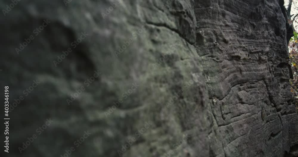 Slow-motion close up of rock wall in the woods Slow-motion close up of rock wall in the woods