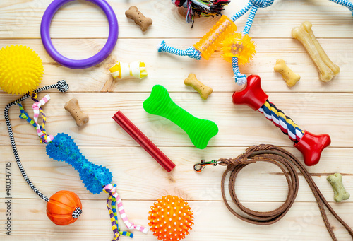 Different multicolored pet care accessories: ring, bones, leash, collar, balls on wooden background. Rubber and textile accessories for dogs. Top view, flat lay. Copy space