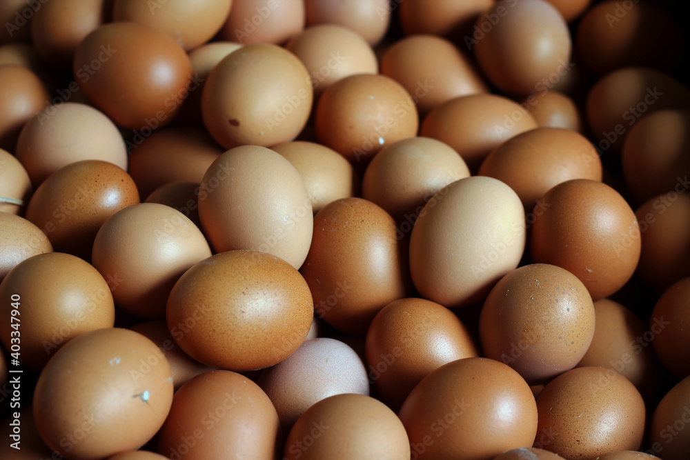 dozens of chicken eggs ready to sell.