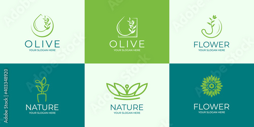 set of creative natural logo. olive oil, flower and leaves
