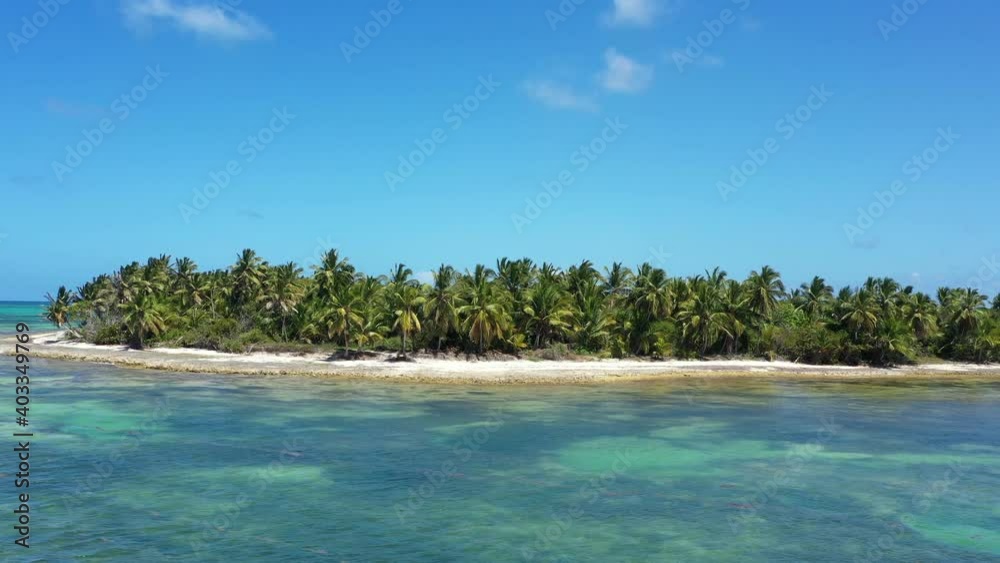 Tropical shore with coconut palm trees on island near caribbean sea. Dominican Republic. Aerial view from copter Tropical shore with coconut palm trees on island near caribbean sea. Dominican Republic. Aerial view from copter