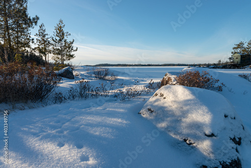 Trees, stones and bushes on a frozen lake shore