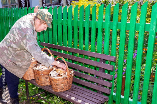 a mature woman came from the forest to the house with full baskets of mushrooms on an autumn day photo