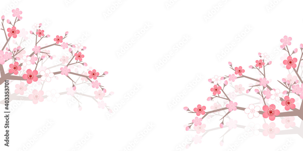 梅 春 花 背景 梅 春 花 背景