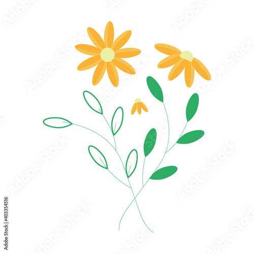 Orange flower of calendula. Medicinal plant. Isolated flowers and leaves for composing a composition, frame or decoration of web pages of an Internet pharmacy. Vector image. Flat style.