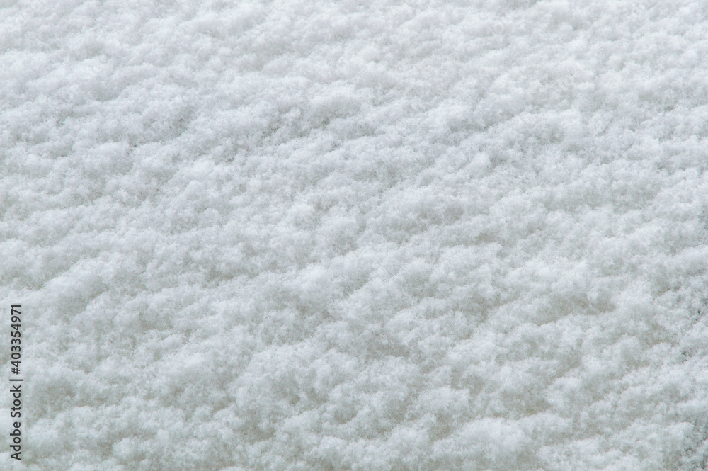 winter background: fresh clean even snow, large snowflakes winter background: fresh clean even snow, large snowflakes
