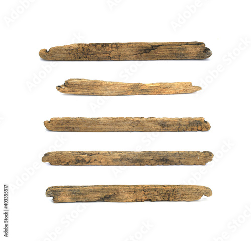collection log wood on white background