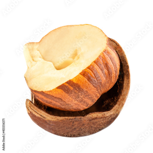 Hazelnut   isolated on white background. Hazelnut cracked macro.  High resolution image. photo