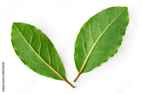 Two Fresh Bay leaves isolated on white background. Green Laurel leaf closeup. Top view. Flat lay.