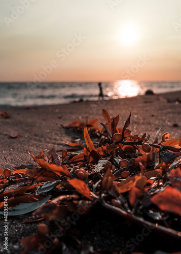 Sunset over the beach sea on Bali Island - Canggu, Indonesia