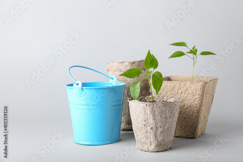 Peat pots with soil and green seedling on light background