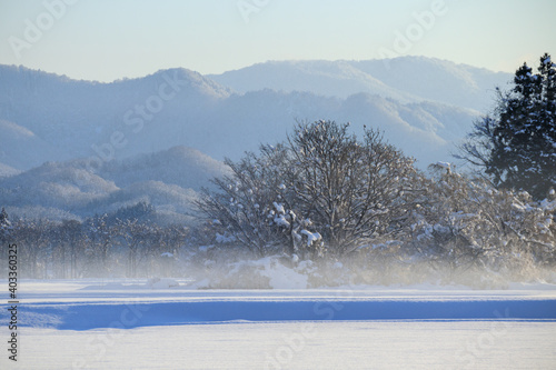 冬の朝 雪景色 冷たい空気 秋田県