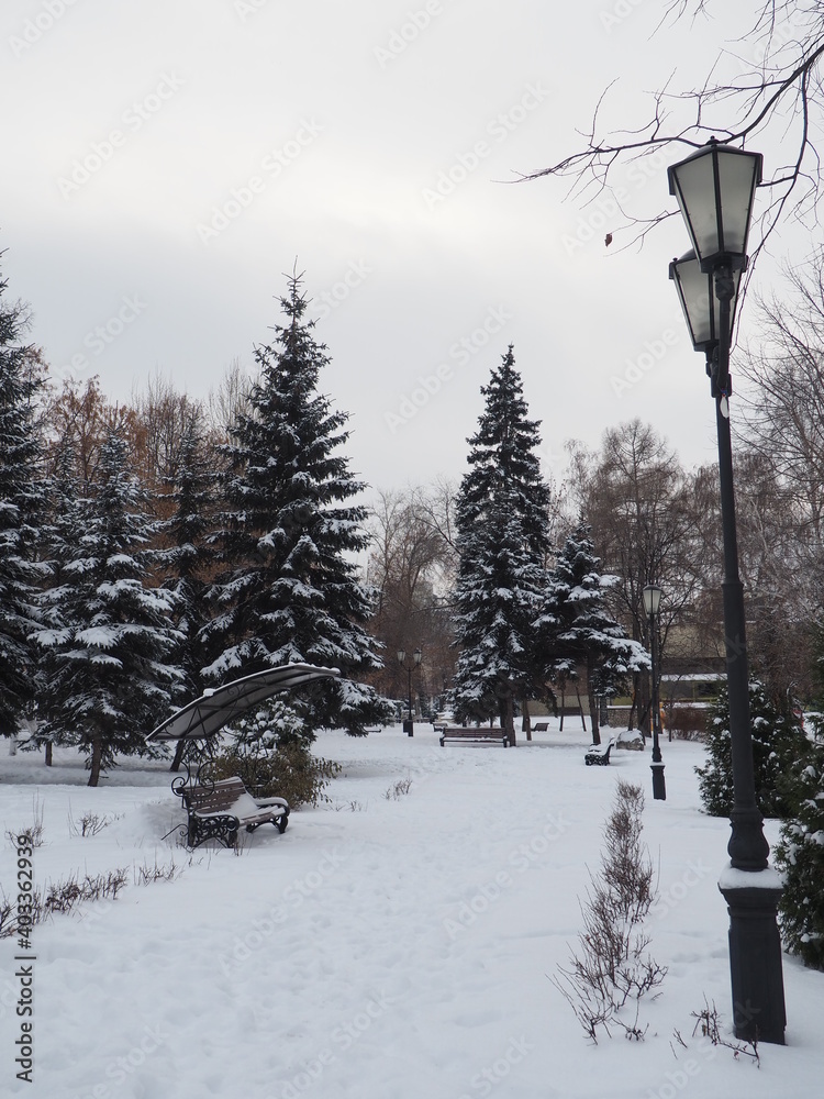 Obraz premium winter