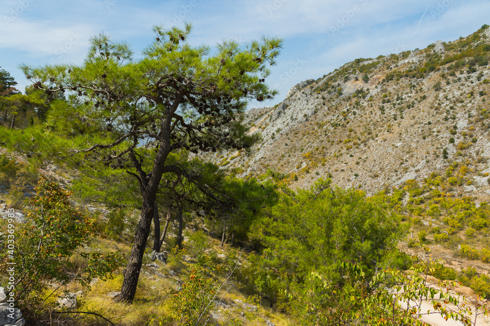 Beautiful mountain landscape near the town of Blagaj. Bosnia and Herzegovina