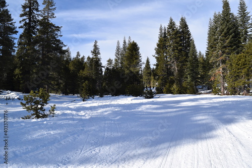 ski resort in winter