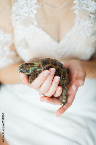 the turtle in his hands. A woman holds a turtle in her hands. pet turtle.