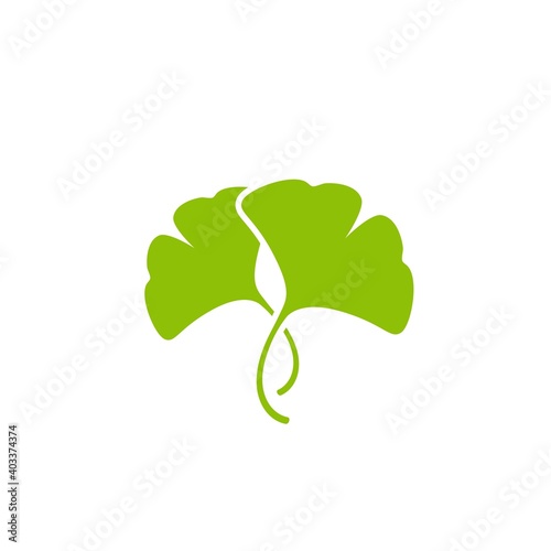Cartoon flat green ginkgo biloba leaves isolated on white. Nature eco icon.