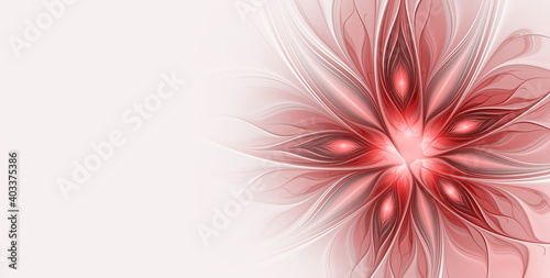Abstract fractal flower on a light background