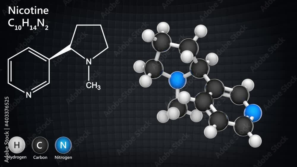 Nicotine (molecular formula: C10H14N2) is highly toxic alkaloid. 3D render. Seamless loop. Ball and Stick chemical structure model.