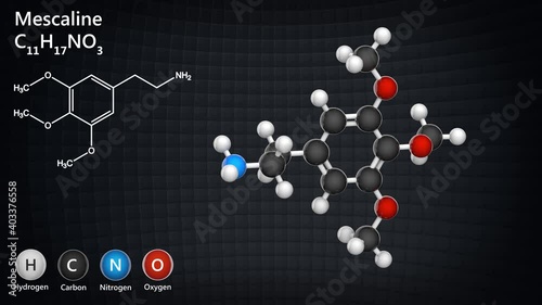 Mescaline (3,4,5-trimethoxyphenethylamine) is a naturally occurring psychedelic protoalkaloid, known for its hallucinogenic effects. Formula: C11H17NO3. 3D render. Seamless loop. photo