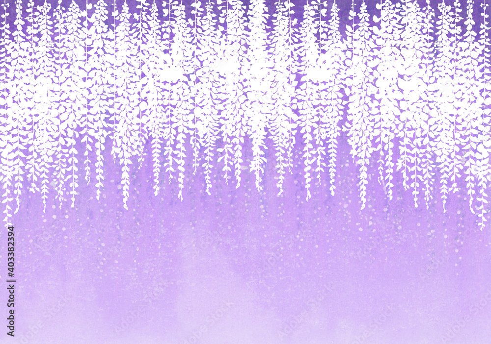 白い藤の花と紫の背景 Stock イラスト Adobe Stock