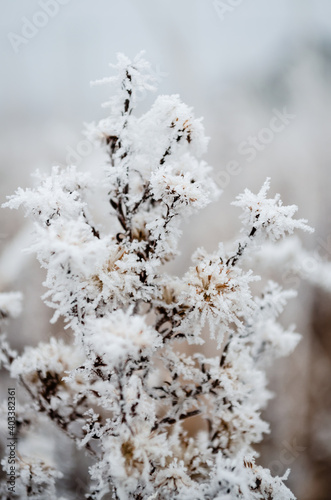 The first snow in the plains of Vojvodina. Novi Sad, Serbia  © caocao191