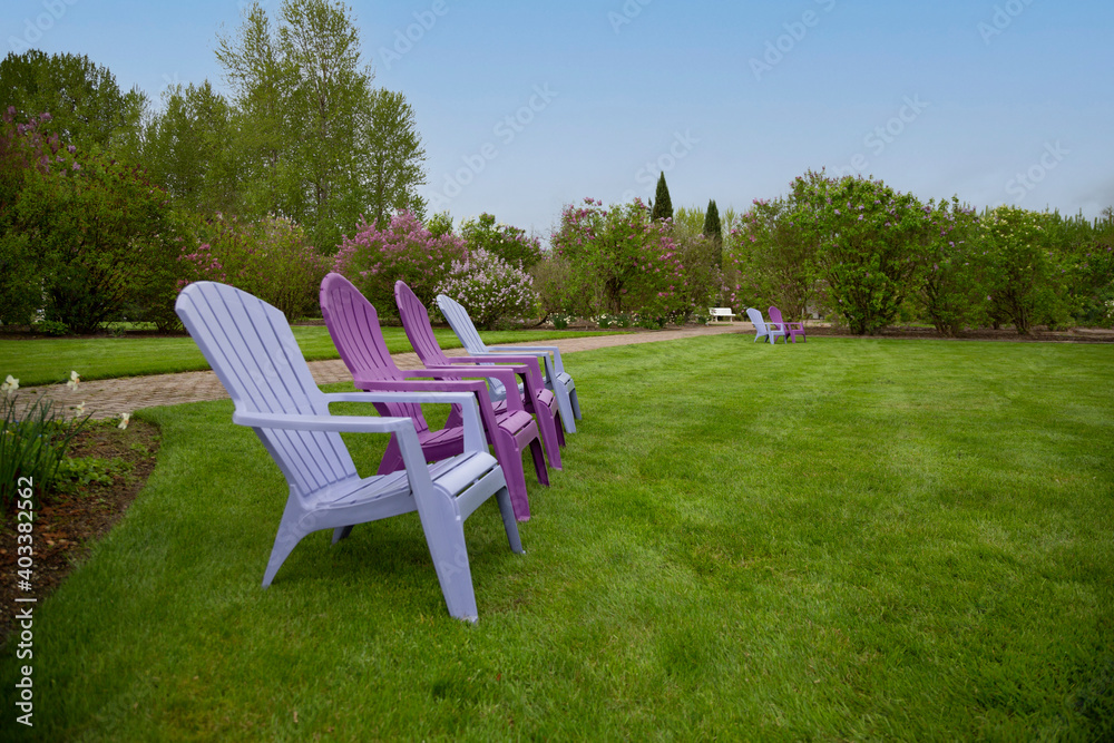 A green lawn with colorful Adirondack chairs in foreground and trees in background under a clear blue sky A green lawn with colorful Adirondack chairs in foreground and trees in background under a clear blue sky