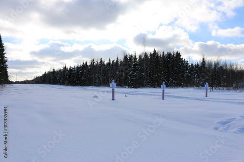 snowy field, a blue sky Sunny day, the pine forest © subbot