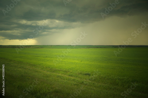 Thunderstorm on the green field.