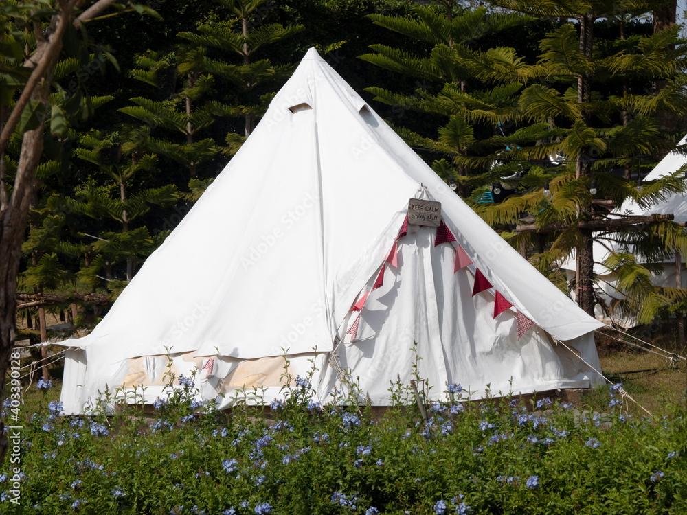 White indian tent on the mountain,Enter a camp in the middle of the pine plantation.