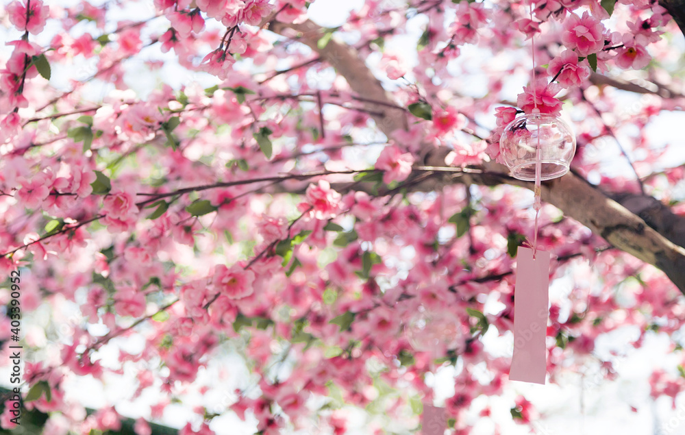 romantic glass and letter mobile hanking on sakura tree romantic glass and letter mobile hanking on sakura tree