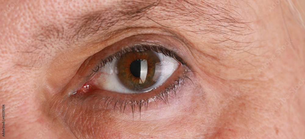 macro eyes of an old man close up macro eyes of an old man close up