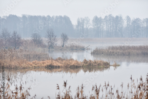 Autumn landscape. Foggy day over the waterline.