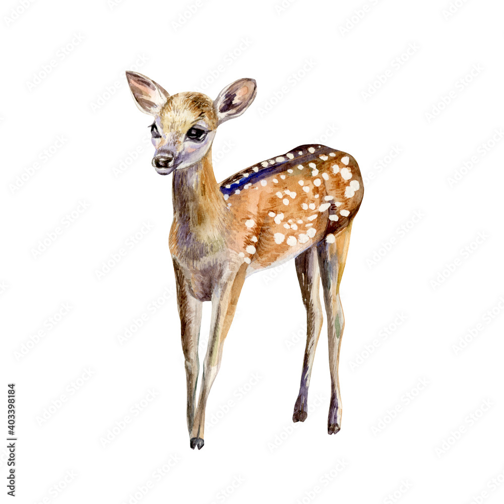 Watercolor hand painted illustration of baby deer. Isolated element on white background. Prefect for card making, scrapbooking or other design projects.