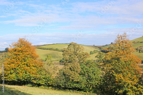 Dart Valley, Devon in autumn 