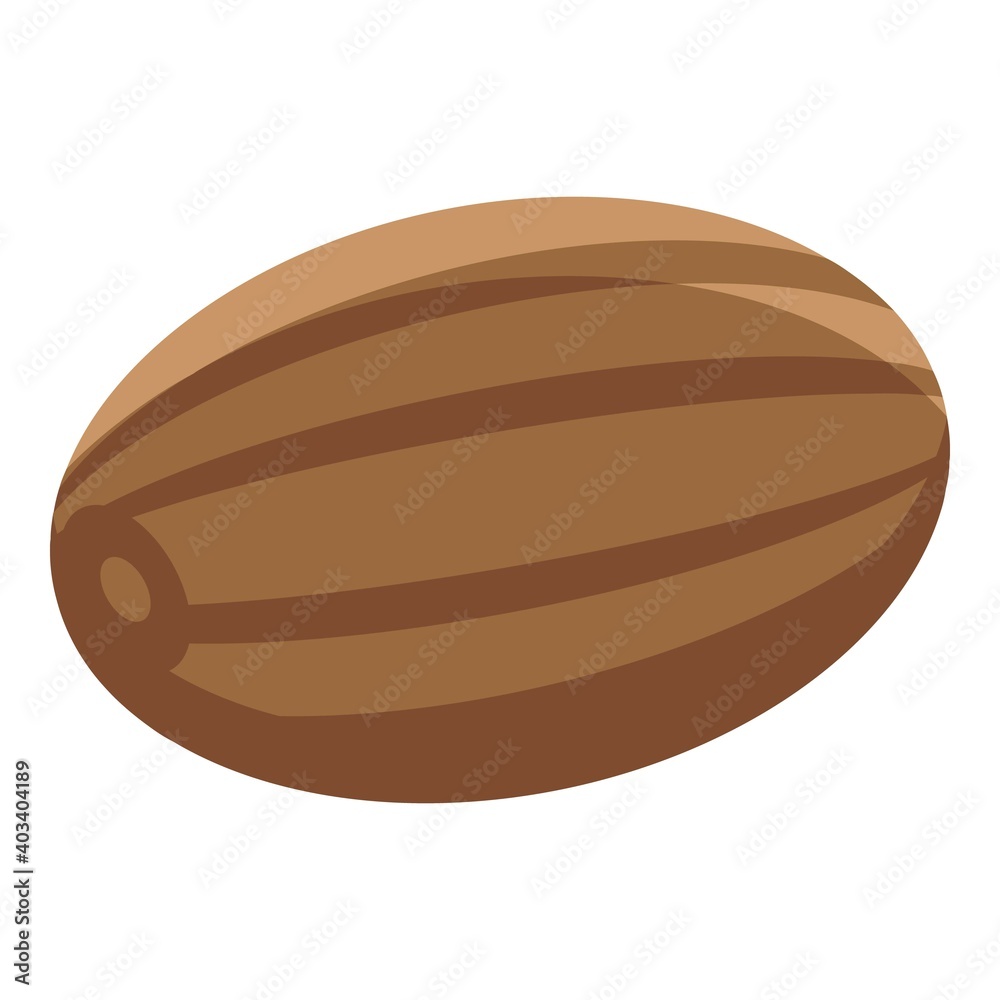 Spa jojoba nut icon. Isometric of spa jojoba nut vector icon for web design isolated on white background Spa jojoba nut icon. Isometric of spa jojoba nut vector icon for web design isolated on white background