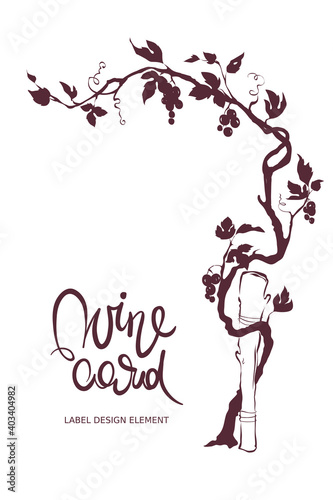 Grapevine - graphic vector illustration. Design element with a twisting vine with leaves and berries.