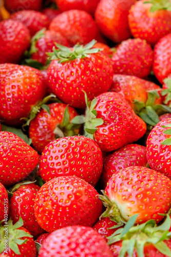 Fresh ripe red strawberry. Good harvest of organic food.