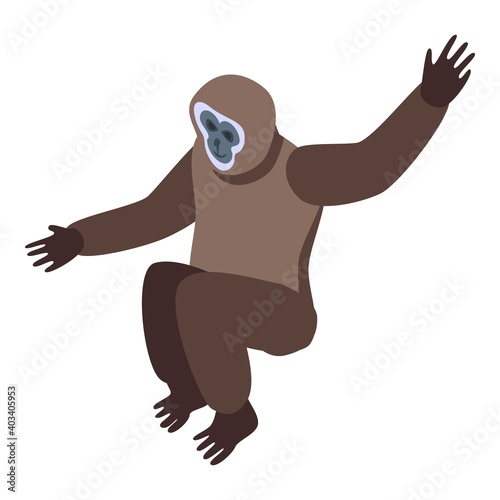 Hanging gibbon icon. Isometric of hanging gibbon vector icon for web design isolated on white background