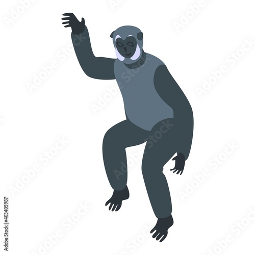 Character gibbon icon. Isometric of character gibbon vector icon for web design isolated on white background