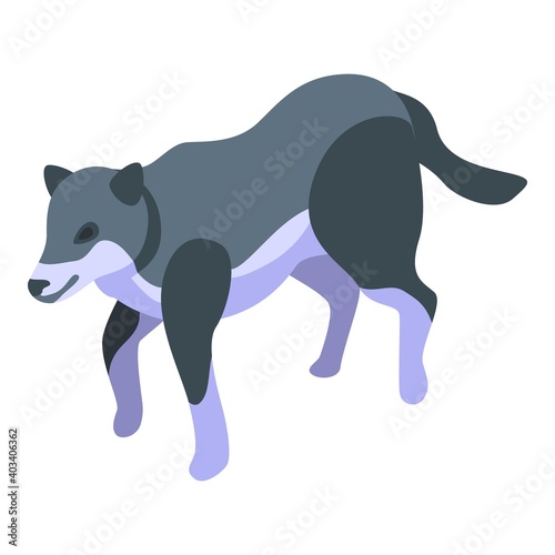 Forest wolf icon. Isometric of forest wolf vector icon for web design isolated on white background