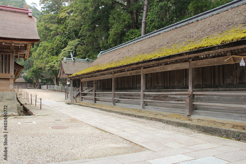 shinto shrine (izumo-taisha)  in izumo (japan)