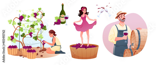 Wine production in traditional winery. Cartoon man woman characters produce natural vine, grow organic grapes, producing wine product, tasting alcohol drink from wooden barrel.