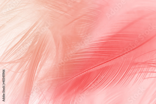 Beautiful red lines feather texture pattern background