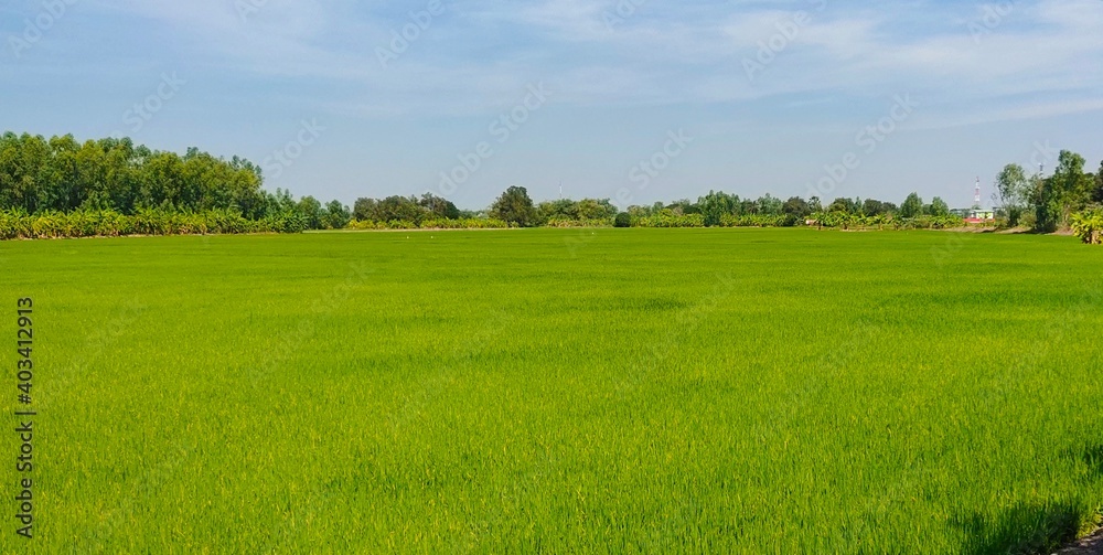 field and blue sky field and blue sky