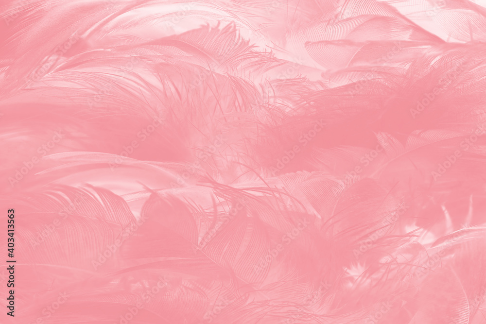 Beautiful light pink feather pattern texture background